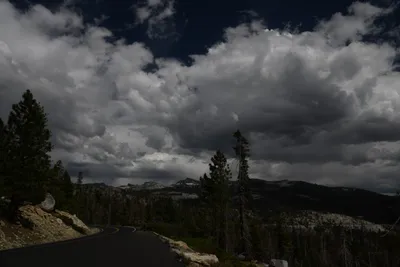 DSC_4365 (Large).JPG